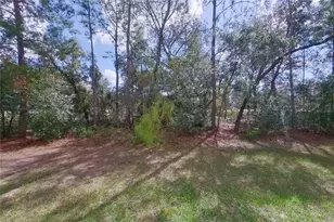 2820 W Andromedae Dr, Citrus Springs, FL 34433 - Photo 23