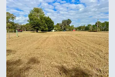 392 Lemon Bluff Road, Osteen, FL 32764 - Photo 3