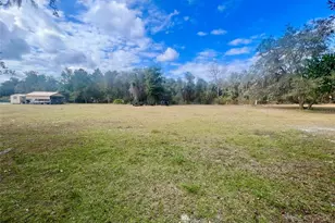 392 Lemon Bluff Rd, Osteen, FL 32764 - Photo 13
