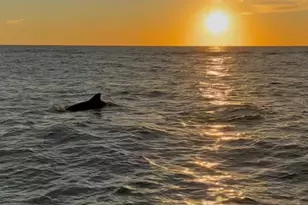 3575 Gulf Blvd, Saint Pete Beach, FL 33706 - Photo 39