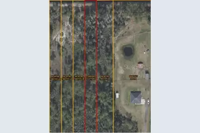 Starry Street, Orlando, FL 32833 - Photo 1