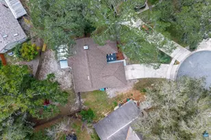 201 Sterling Rose Ct, Apopka, FL 32703 - Photo 69