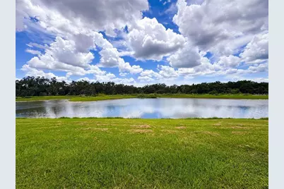 11124 Leland Groves Drive, Riverview, FL 33579 - Photo 43