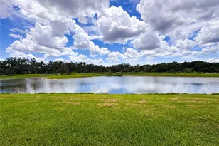 11124 Leland Groves Dr, Riverview, FL 33579 - Photo 43