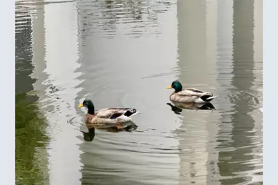 2639 Maitland Crossing Way #201, Orlando, FL 32810 - Photo 27