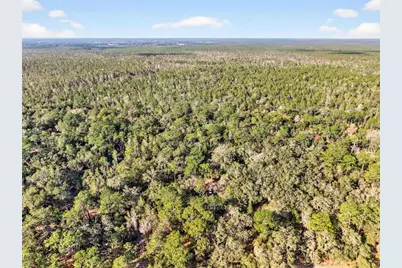 [Address not provided], Altoona, FL 32702 - Photo 47