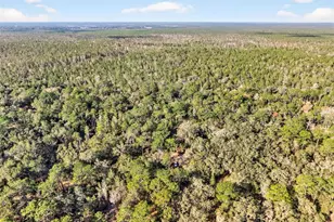 [Address not provided], Altoona, FL 32702 - Photo 47