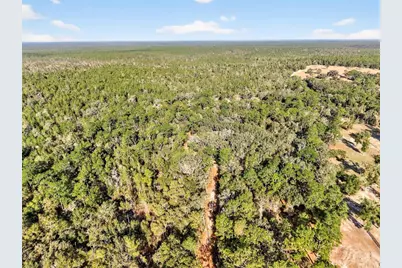 [Address not provided], Altoona, FL 32702 - Photo 45