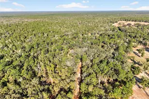 [Address not provided], Altoona, FL 32702 - Photo 45