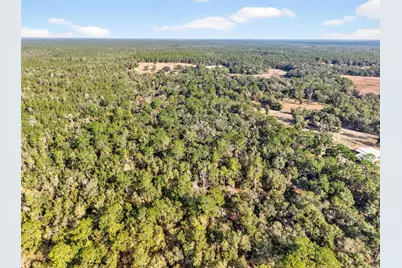 [Address not provided], Altoona, FL 32702 - Photo 53