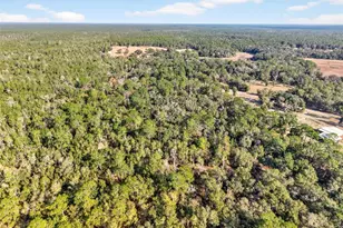 [Address not provided], Altoona, FL 32702 - Photo 53