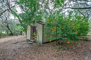 [Address not provided], Altoona, FL 32702 - Photo 63