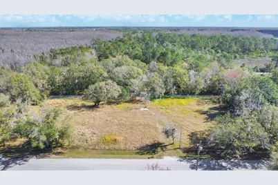 1426 Sierra Pines Boulevard, Lutz, FL 33558 - Photo 11