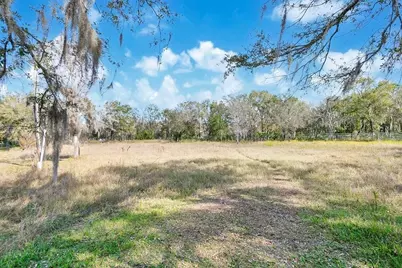 1426 Sierra Pines Boulevard, Lutz, FL 33558 - Photo 3