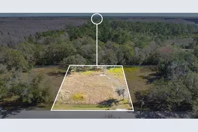 1426 Sierra Pines Boulevard, Lutz, FL 33558 - Photo 13