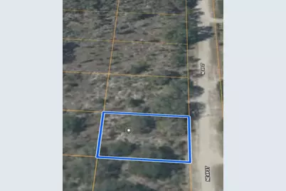 Ne 69th Street, Williston, FL 32696 - Photo 3