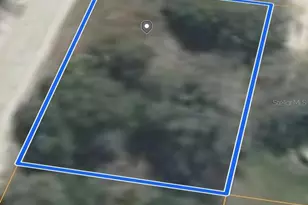 0 NE 119th Terrace, Williston, FL 32696 - Photo 1