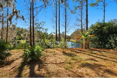 6219 Gannetdale Drive, Lithia, FL 33547 - Photo 47