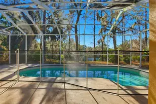 6219 Gannetdale Dr, Lithia, FL 33547 - Photo 41