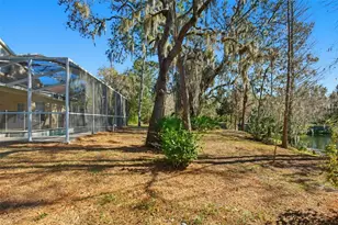 6219 Gannetdale Dr, Lithia, FL 33547 - Photo 41