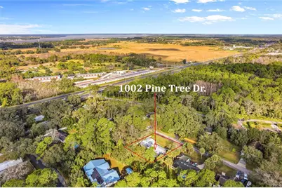 1002 Pine Tree Drive, Eustis, FL 32726 - Photo 59