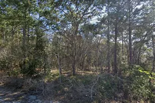 4430 Landover Blvd, Spring Hill, FL 34609 - Photo 1