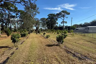 4106 N US Hwy 1, Melbourne, FL 32935 - Photo 23