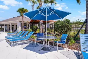 1809 Howard Mesa Dr, Kissimmee, FL 34744 - Photo 53