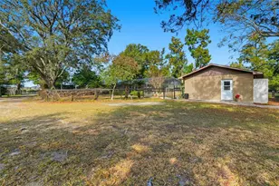 31800 Orange St, Sorrento, FL 32776 - Photo 35