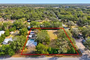 31800 Orange St, Sorrento, FL 32776 - Photo 57