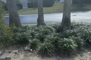 609 Brunello Dr, Davenport, FL 33897 - Photo 3