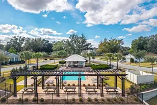 2100 Gopher Tortoise Terrace, Oakland, FL 34787 - Photo 55