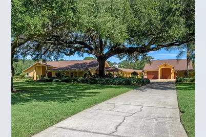 32133 Wolf Branch Lane, Sorrento, FL 32776 - Photo 5