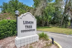 2526 Lemon Tree Ln, Orlando, FL 32839 - Photo 11