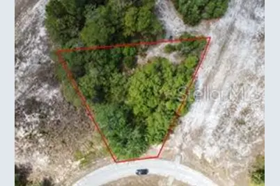 1329 Homosassa Court, Kissimmee, FL 34759 - Photo 3