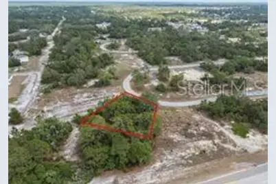 1329 Homosassa Court, Kissimmee, FL 34759 - Photo 1