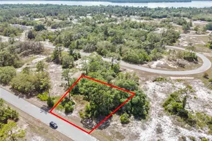 1335 Hillsborough Ct, Kissimmee, FL 34759 - Photo 1