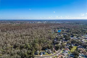 23986 Terracina Ct, Land O Lakes, FL 34639 - Photo 51