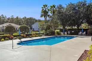 26340 Feathergrass Cir, Leesburg, FL 34748 - Photo 29