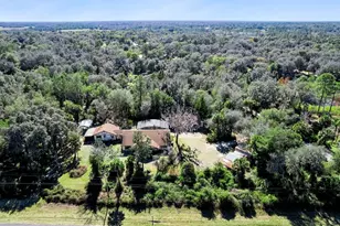 301 Shady Woods Rd, Geneva, FL 32732 - Photo 23