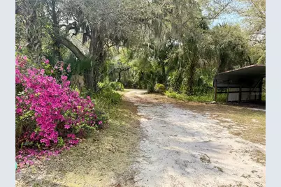 301 Shady Woods Road, Geneva, FL 32732 - Photo 43