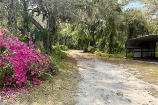 301 Shady Woods Rd, Geneva, FL 32732 - Photo 43