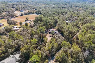 175 Bull Run Ave, Osteen, FL 32764 - Photo 41