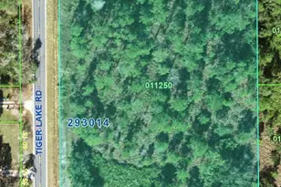 Tiger Lake Rd, Lake Wales, FL 33898 - Photo 1