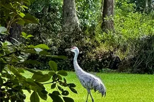 6037 Lake Erie Rd, Groveland, FL 34736 - Photo 53