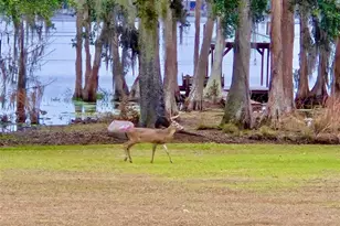 6037 Lake Erie Rd, Groveland, FL 34736 - Photo 47