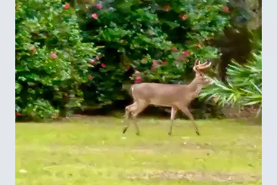 6037 Lake Erie Road, Groveland, FL 34736 - Photo 49