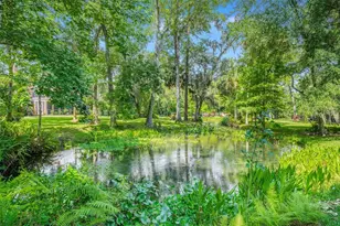 3811 Watercrest Dr, Longwood, FL 32779 - Photo 61