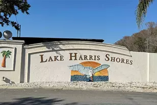 26625 Bimini Dr, Tavares, FL 32778 - Photo 33