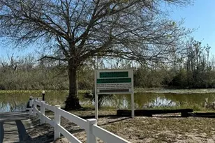 26625 Bimini Dr, Tavares, FL 32778 - Photo 29